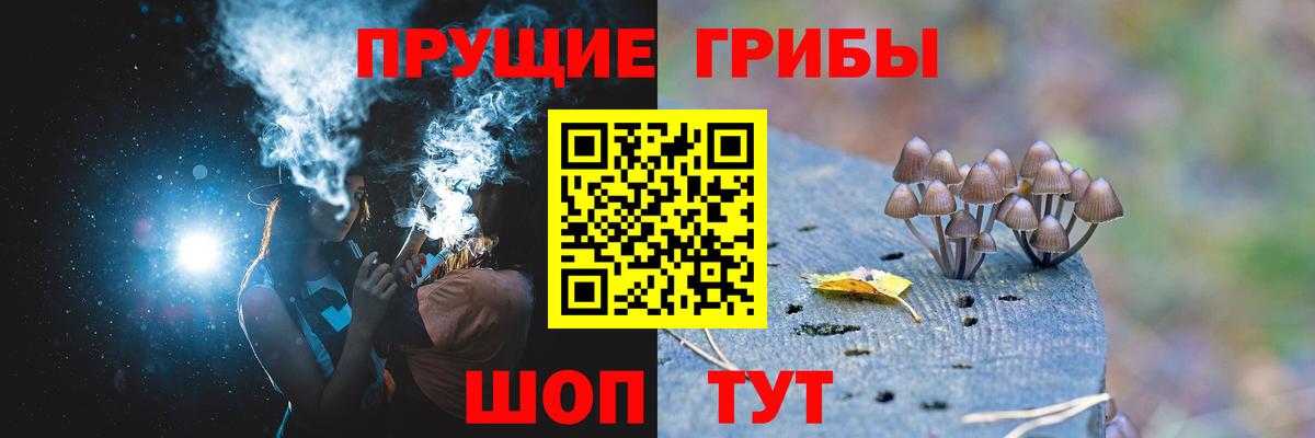 Рубцовск  Псилоцибиновые грибы мухоморы  Вход с VPN 