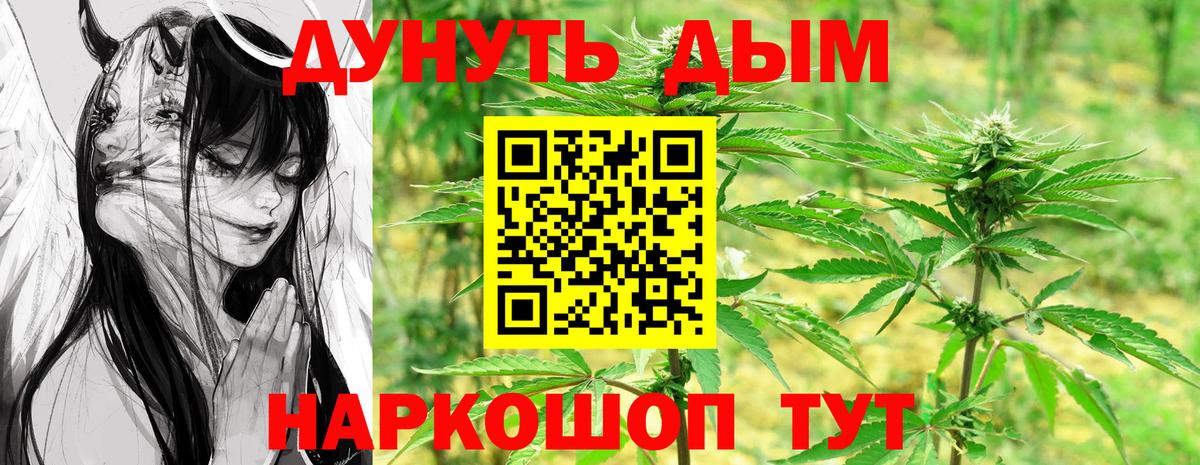Шишки марихуана Amnesia Рубцовск